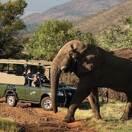 Kwa Maritane Bush alojamiento Ledig Exterior foto