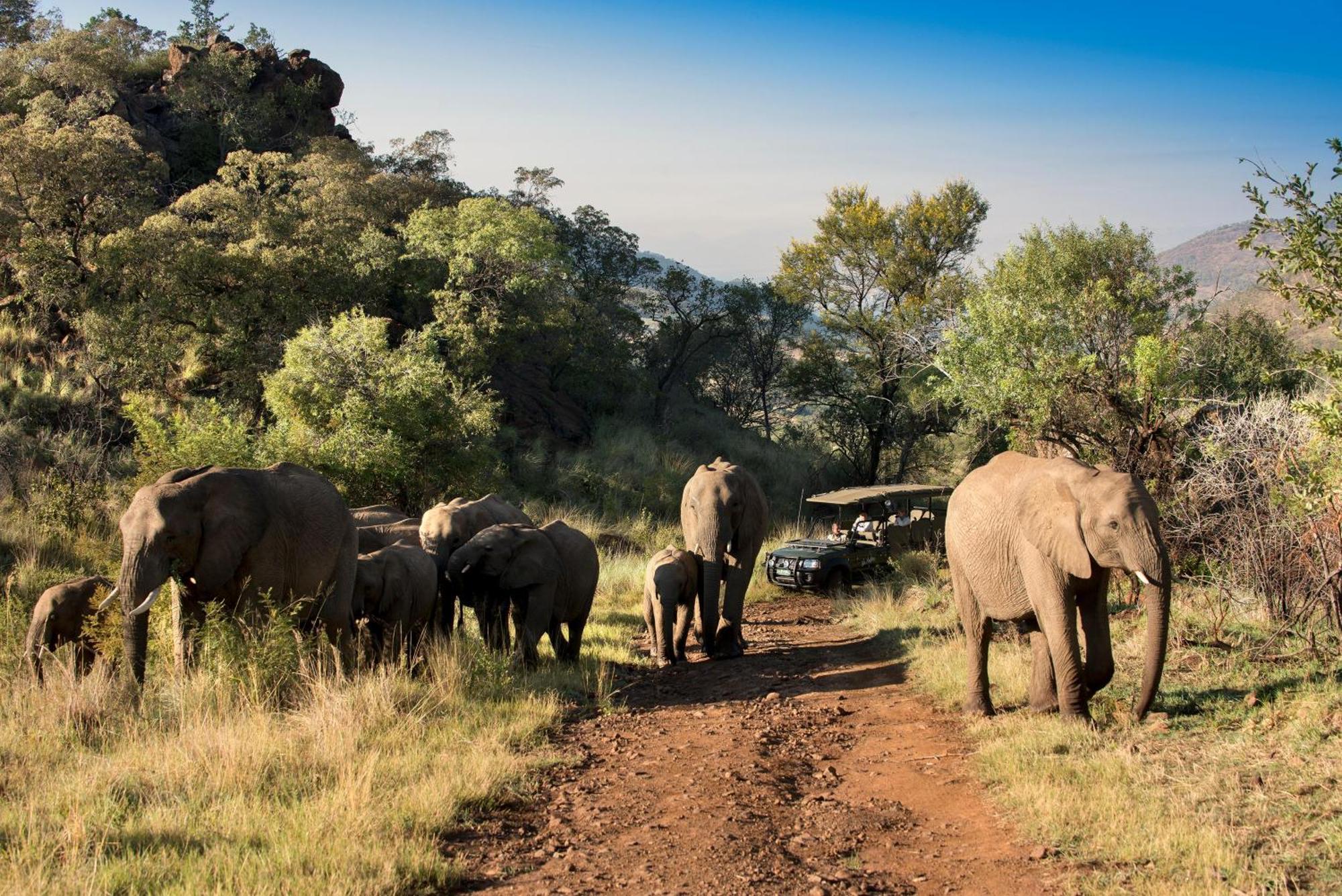 Kwa Maritane Bush alojamiento Ledig Exterior foto